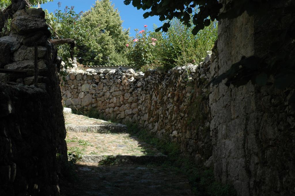 Sole E Monti