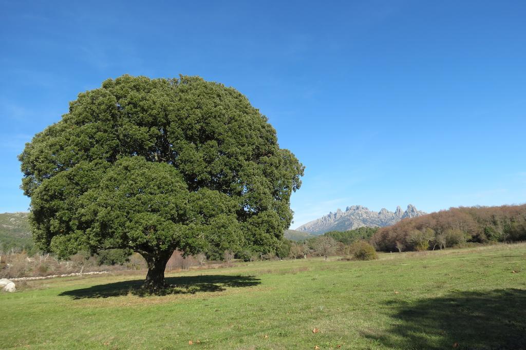 Sole E Monti Hotel 3*